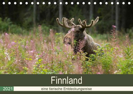 Cover for Wünsch · Finnland: eine tierische Entdeck (Book)