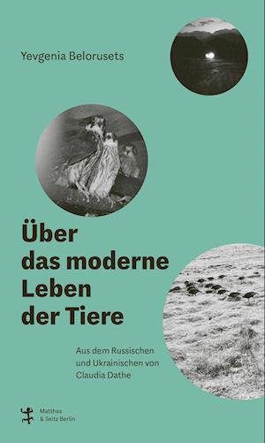 Cover for Yevgenia Belorusets · Über das moderne Leben der Tiere (Bog) (2024)