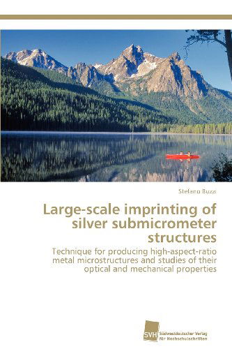 Cover for Stefano Buzzi · Large-scale Imprinting of Silver Submicrometer Structures: Technique for Producing High-aspect-ratio Metal Microstructures and Studies of Their Optical and Mechanical Properties (Paperback Book) (2012)