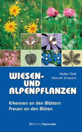 Cover for Dietl · Wiesen- und Alpenpflanzen (Book)