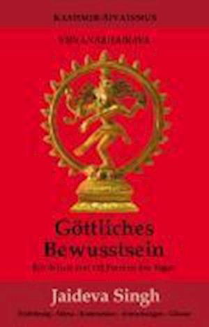 Cover for Jaideva Singh · GÃ¶ttliches Bewusstsein - Vijnanabhairava (Pocketbok) (2009)