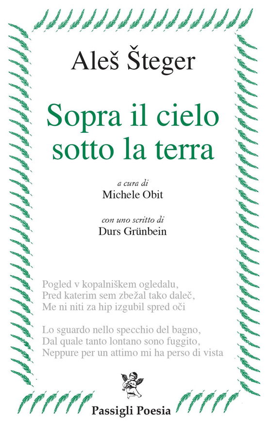 Cover for Ales Steger · Sopra Il Cielo Sotto La Terra (Book)