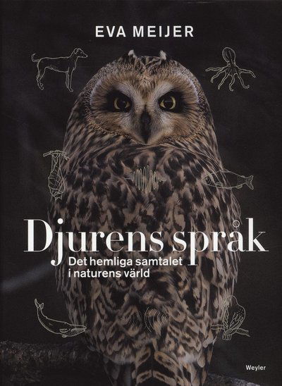 Cover for Eva Meijer · Djurens språk : det hemliga samtalet i naturens värld (Bound Book) (2019)