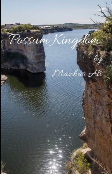 Cover for Mazhar Ali · Possum Kingdom (Paperback Book) (2021)