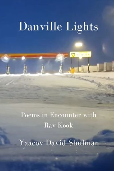 Cover for Yaacov David Shulman · Danville Lights (Taschenbuch) (2020)