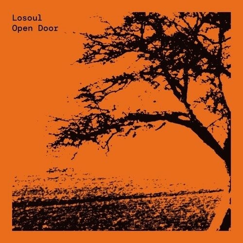 Cover for Losoul · Open Door (LP) (2023)