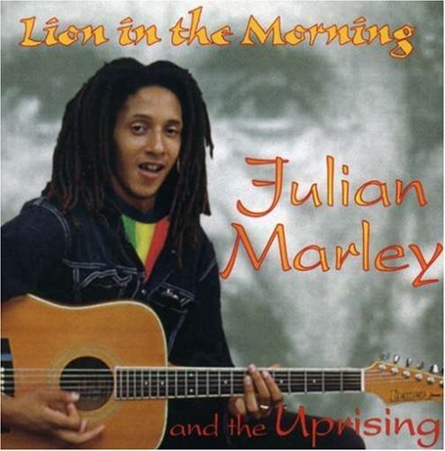 Cover for Julian Marley · Attack Back (CD) (2006)