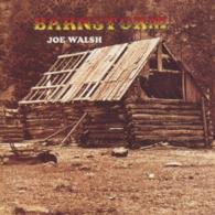 Cover for Joe Walsh · Barnstorm (CD) (1999)