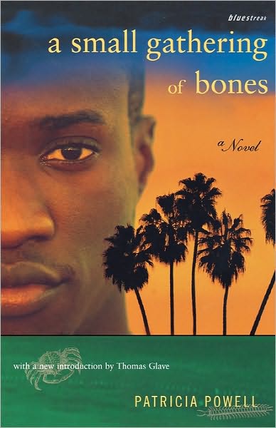 Cover for Patricia Powell · A Small Gathering Of Bones (Pocketbok) (2003)