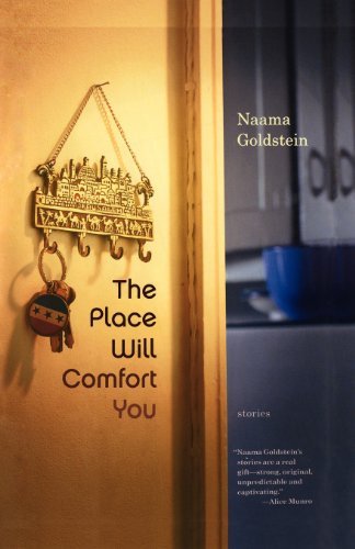 Cover for Naama Goldstein · The Place Will Comfort You: Stories (Paperback Book) (2007)