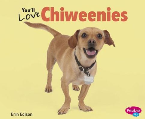 Cover for Erin Edison · You'll Love Chiweenies (Favorite Designer Dogs) (Hardcover Book) (2014)