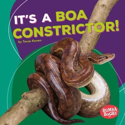 It's a Boa Constrictor! - Tessa Kenan - Boeken - Lerner Publishing Group - 9781512425673 - 2017