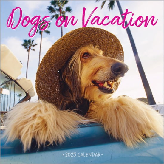 Dogs on Vacation Wall Calendar 2025 - Workman Calendars - Koopwaar - Workman Publishing - 9781523526673 - 8 augustus 2024