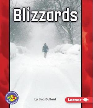 Cover for Lisa Bullard · Blizzards (Book) (2009)