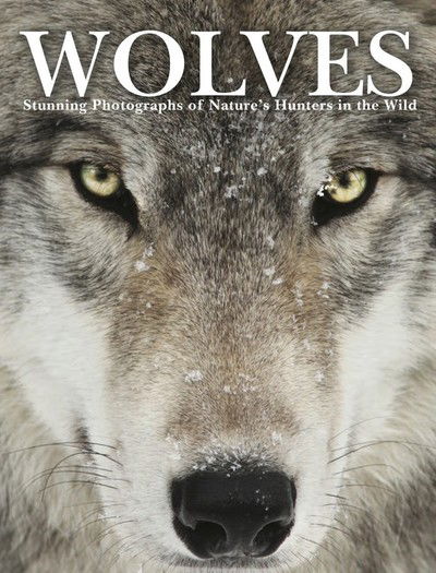 Cover for Tom Jackson · Wolves: Stunning Photographs of Nature's Hunters in the Wild - Animals (Hardcover Book) (2019)