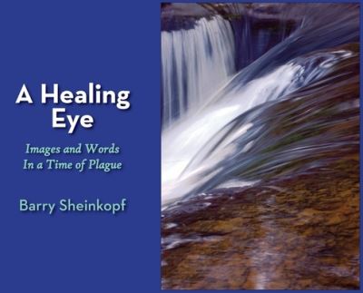 Cover for Barry Sheinkopf · A Healing Eye: Images and Words in a Time of Plague (Inbunden Bok) (2020)