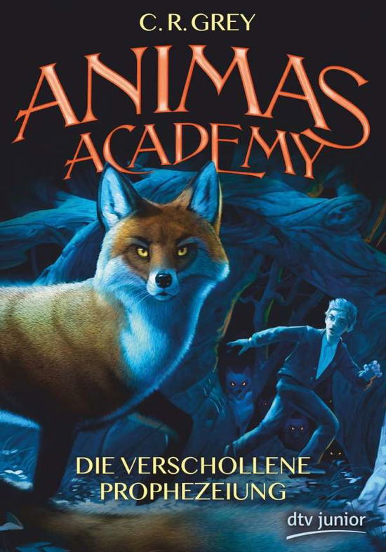 Cover for Grey · Animas Academy,Die verscholl.Proph (Buch)