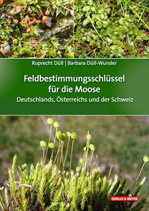 Feldbestimmungsschlüssel für die Moose Deutschlands, Österreichs und der Schweiz - Ruprecht Düll - Bücher - Quelle & Meyer - 9783494019673 - 4. Juli 2023