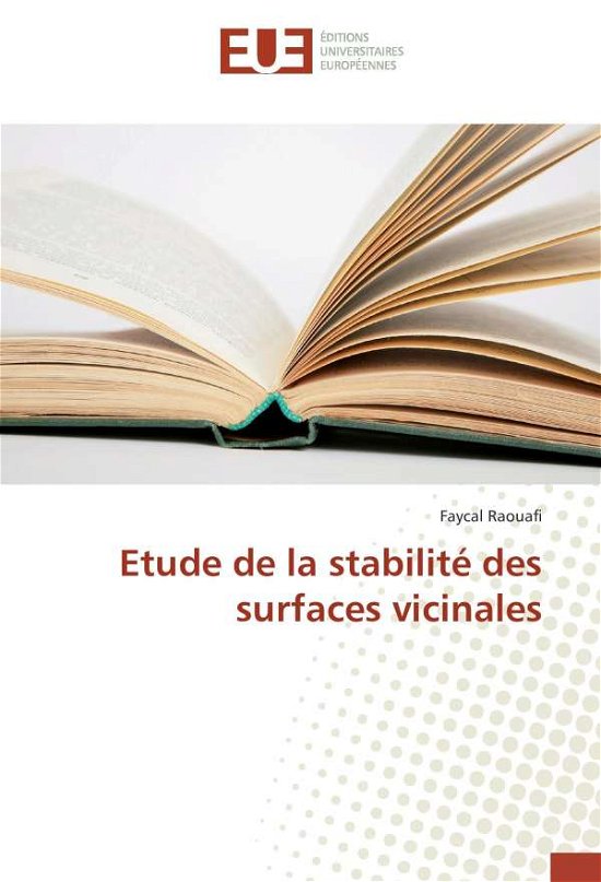 Cover for Raouafi · Etude de la stabilité des surfa (Book)