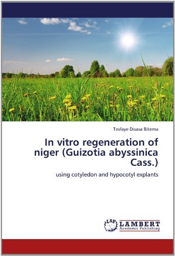 Cover for Tesfaye Disasa Bitema · In Vitro Regeneration of Niger (Guizotia Abyssinica Cass.): Using Cotyledon and Hypocotyl Explants (Paperback Book) (2012)
