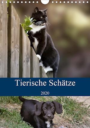 Tierische Schätze (Wandkalen - Metternich - Books -  - 9783670721673 - 