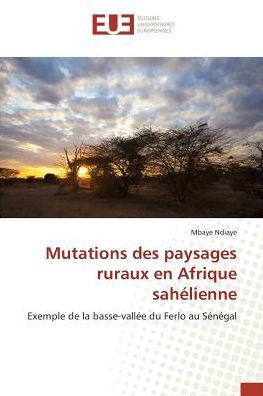 Cover for Ndiaye · Mutations des paysages ruraux en (Book)