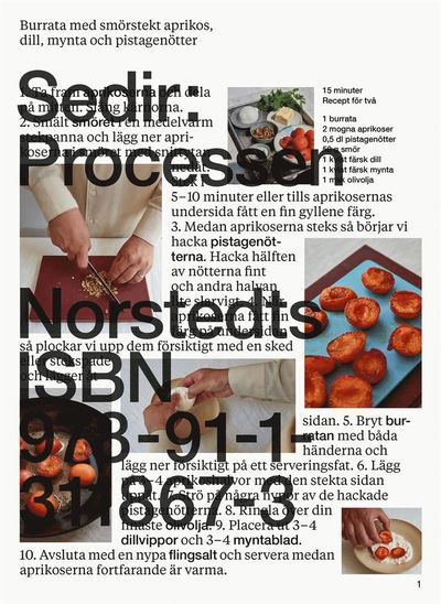 Cover for Sedir Ajeenah · Sedir: Processen (Bound Book) (2022)