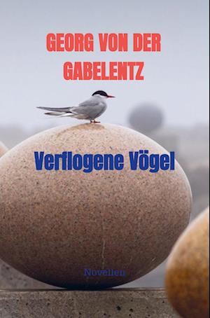 Cover for Georg Von Der Gabelentz · Verflogene Vögel (Pocketbok) (2022)