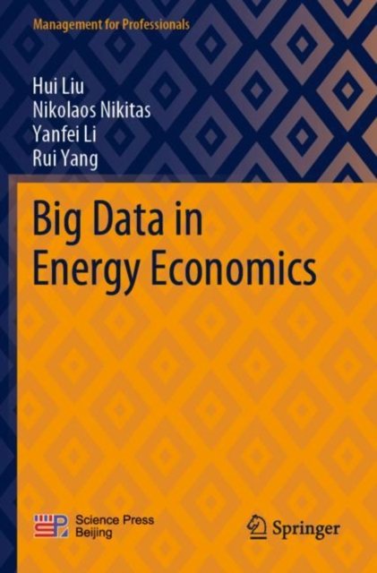 Cover for Hui Liu · Big Data in Energy Economics - Management for Professionals (Pocketbok) [1st ed. 2022 edition] (2023)