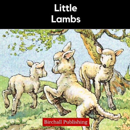 Cover for Birchall Publishing · Little Lambs - Rhymes for Early Readers (Paperback Book) (2020)