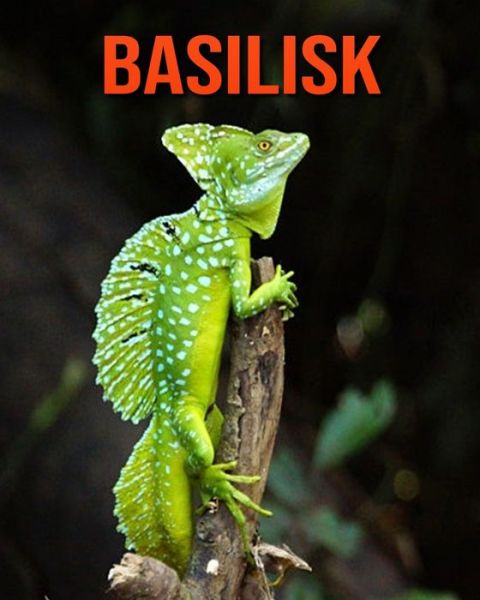 Cover for William Doyle · Basilisk (Paperback Book) (2020)