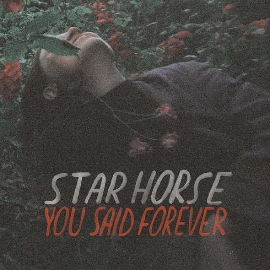 Cover for Star Horse · You Said Forever (LP) (2019)