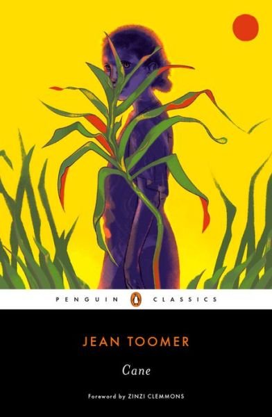 Cover for Jean Toomer · Cane (Taschenbuch) (2019)