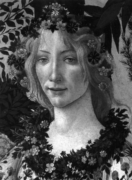 Botticelli - Phaidon Classics - Lionello Venturi - Books - Phaidon Press Ltd - 9780714869674 - April 11, 2016