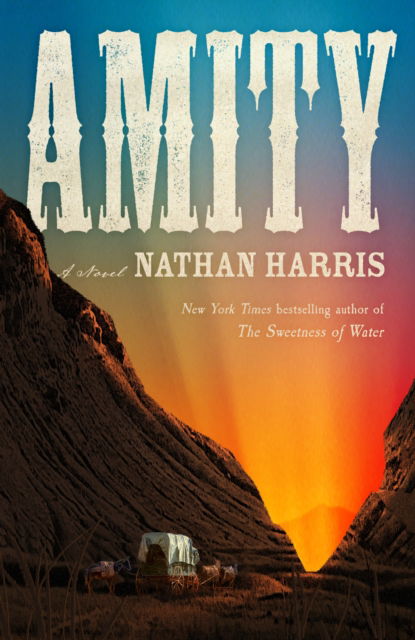 Cover for Nathan Harris · AMITY: from the Booker-longlisted author of The Sweetness of Water (Taschenbuch) (2025)