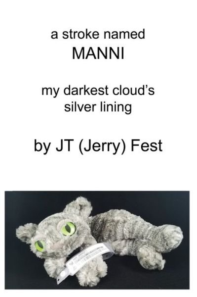 Cover for JT (Jerry) Fest · A Stroke Named Manni (Paperback Book) (2019)