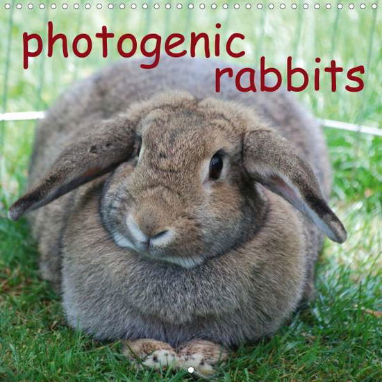 Photogenic Rabbits (Wall Calendar - Kaina - Książki -  - 9781325529674 - 