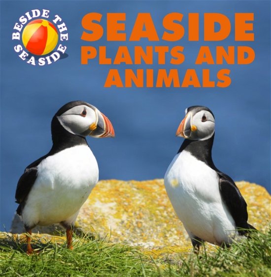 Cover for Clare Hibbert · Beside the Seaside: Seaside Plants and Animals - Beside the Seaside (Paperback Bog) [Illustrated edition] (2023)