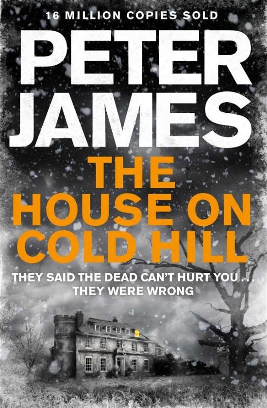 Cover for Peter James · The House on Cold Hill (Paperback Bog) [Air Iri OME edition] (2015)
