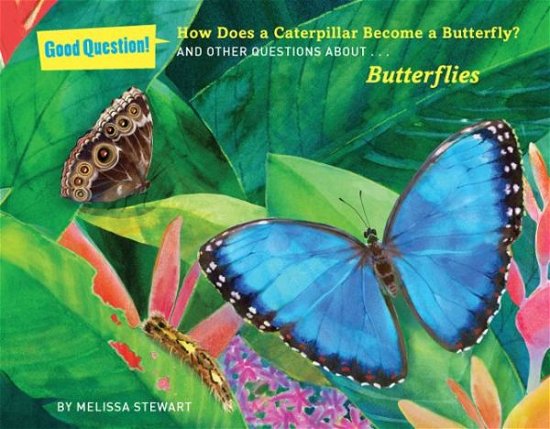 How Does a Caterpillar Become a Butterfly?: And Other Questions About Butterflies - Melissa Stewart - Bøker - Sterling Publishing Co Inc - 9781454906674 - 7. januar 2014