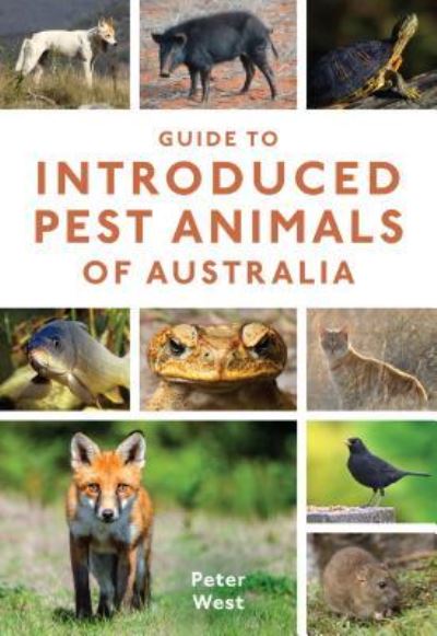 Cover for Peter West · Guide to Introduced Pest Animals of Australia (Paperback Book) (2018)