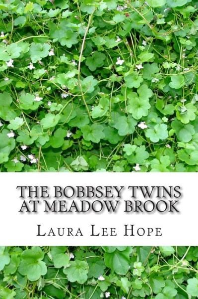 Cover for Laura Lee Hope · The Bobbsey Twins at Meadow Brook: (Laura Lee Hope Children's Classics Collection) (Taschenbuch) (2014)