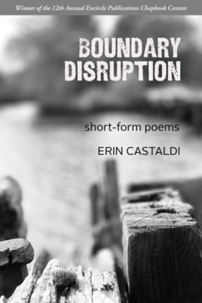 Cover for Erin Castaldi · Boundary Disruption (Book) (2022)