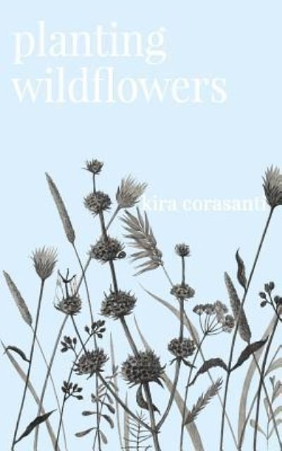 Cover for Kira Corasanti · Planting Wildflowers (Pocketbok) (2019)