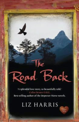 Cover for Liz Harris · Road Back (Paperback Book) (2012)