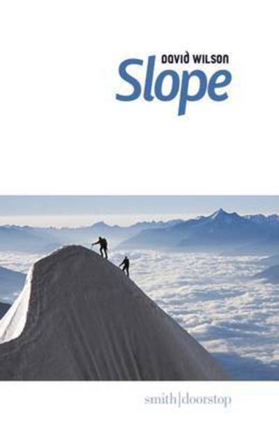 Cover for David Wilson · Slope (Paperback Book) (2016)