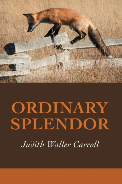 Cover for Judith Waller Carroll · Ordinary Splendor (Paperback Book) (2022)