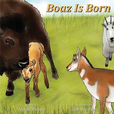 Cover for Margie Harding · Boaz Is Born (Pocketbok) (2018)