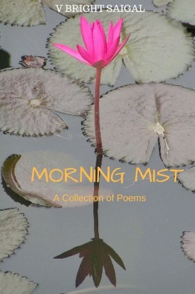 Cover for V Bright Saigal · Morning Mist (Paperback Book) (2017)