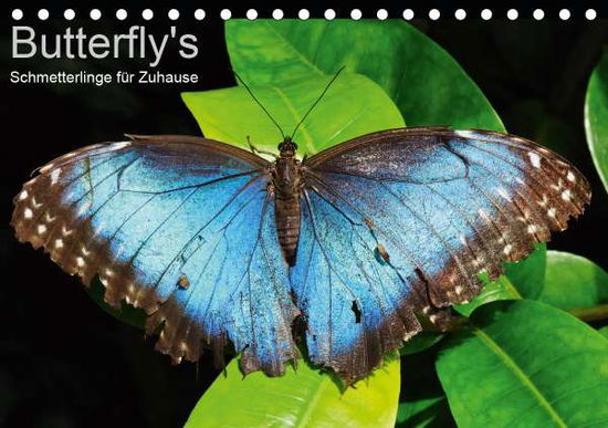 Cover for Bade · Butterfly's - Schmetterlinge für Z (Book)